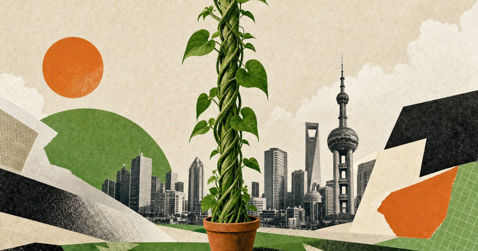 Unitree maker Yushu Technology opens up 629% on Shanghai's STAR Market debut